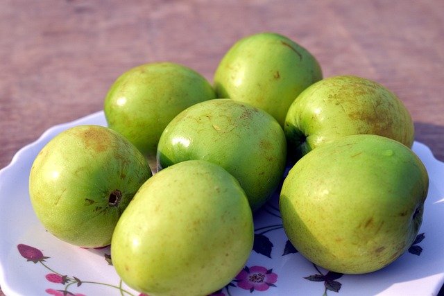 indian-jujube-5944186_640.jpg