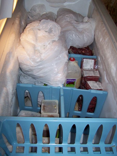 Emptying a freezer crop December 2019.jpg