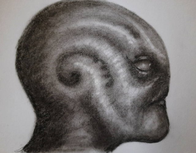 20251005_100636.jpg