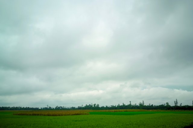 1000016450.jpg