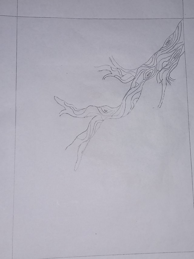 20251025_112828.jpg
