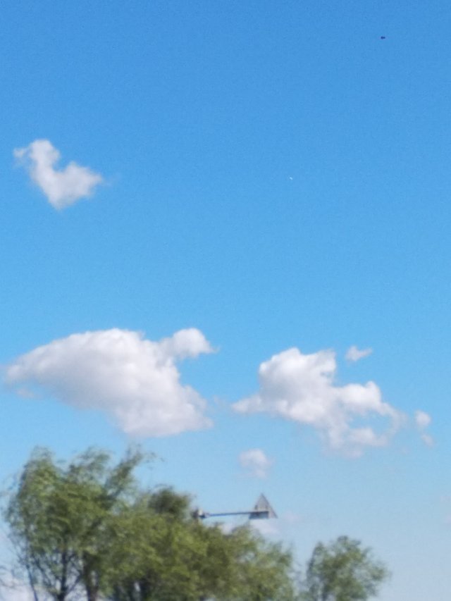 IMG_20180924_094329.jpg