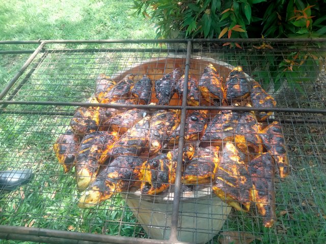 IMG20250614123715.jpg