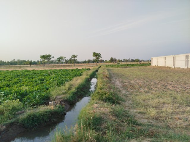 1000043756.jpg