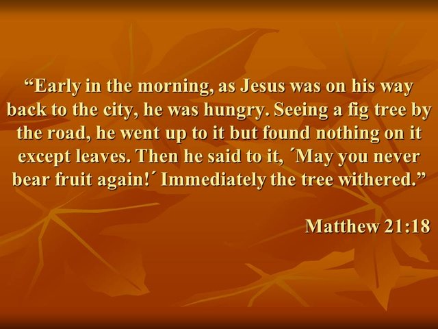 Jesus curses the fig tree for no bearing fruit in Matthew 21, 18. Exegesis, explanation and commentary..jpg