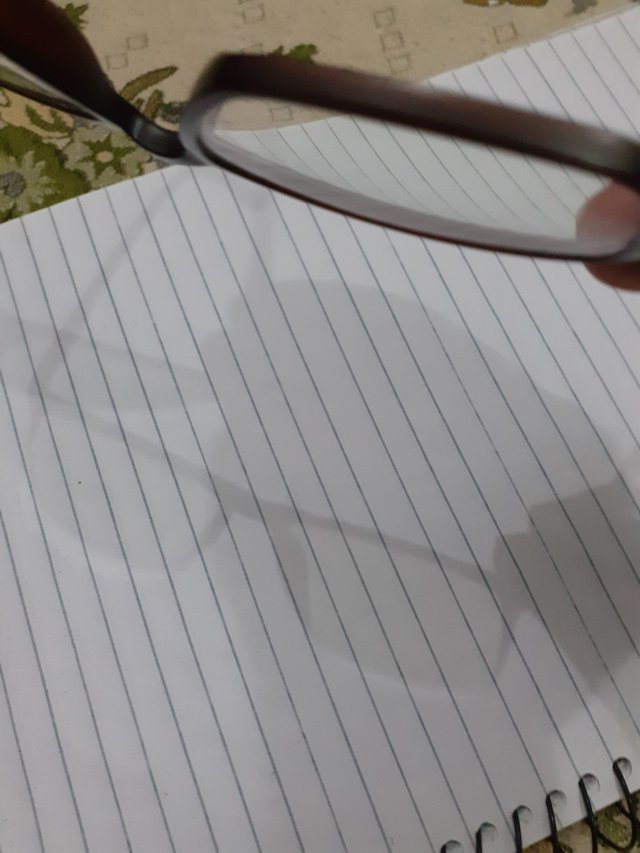 20250731_014058.jpg