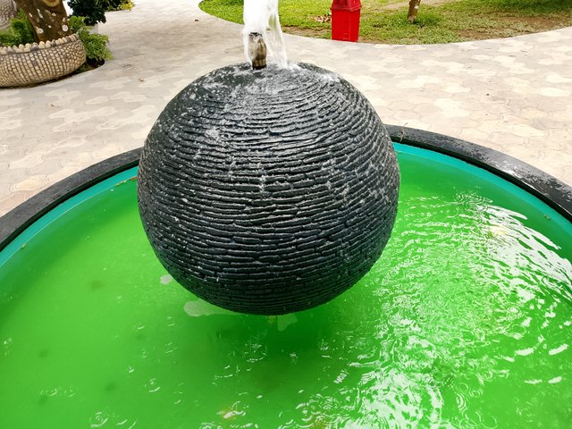 1000035760.jpg