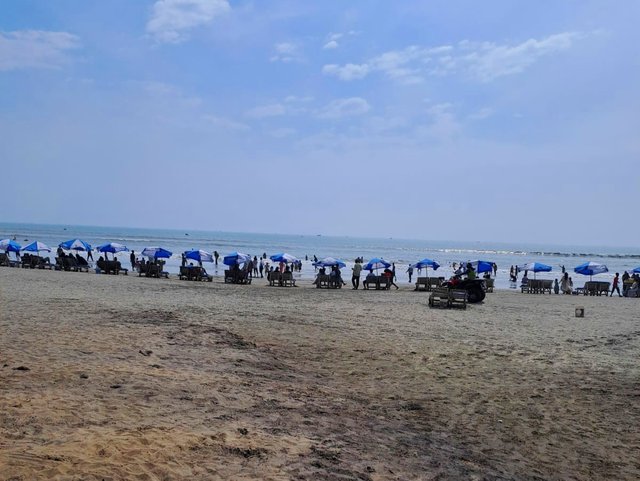 IMG_20250228_194730.jpg