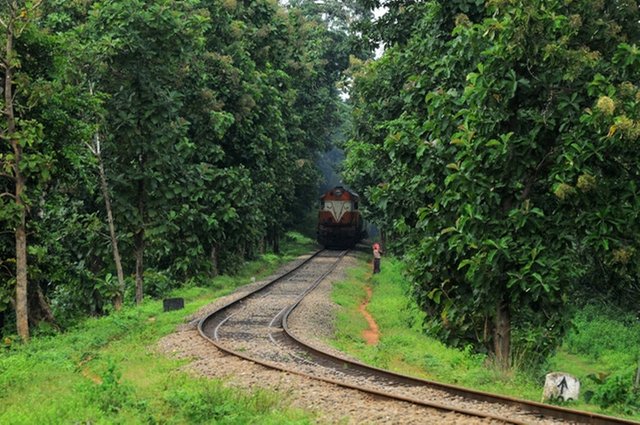 railway-lines-kerala-photos.jpg