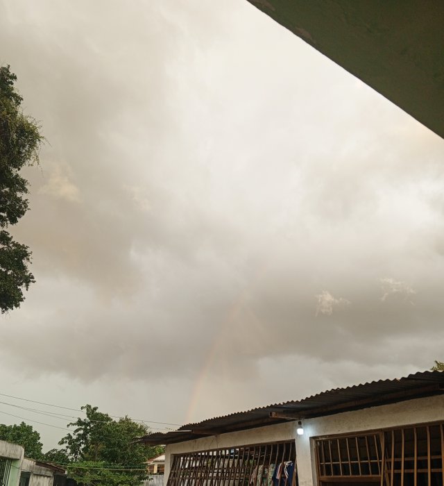 IMG_20241125_172957_116.jpg