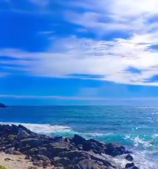 1750293803619.jpg