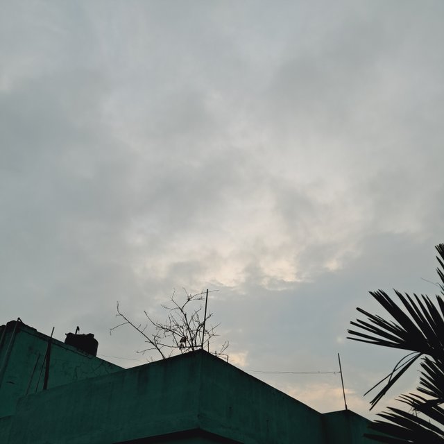 1000029360.jpg