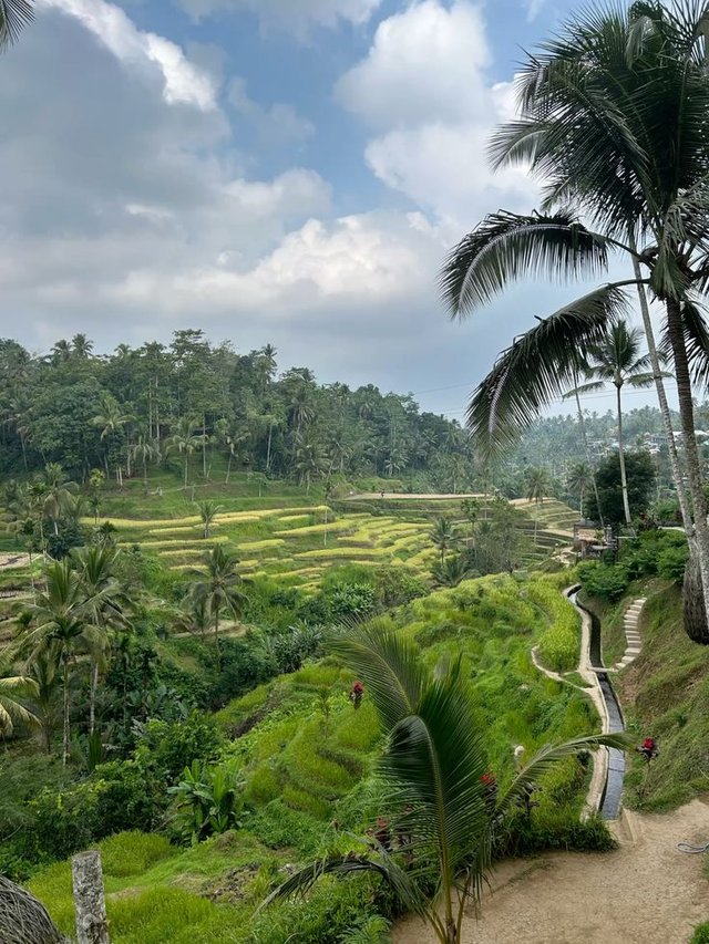 bali3.jpg