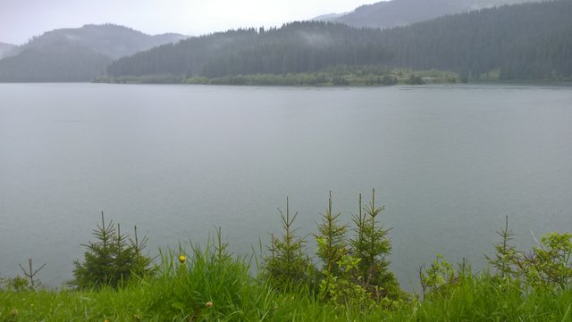 WP_20160605_17_47_27_Pro.jpg