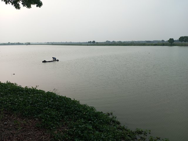 IMG_20250421_170753_657.jpg