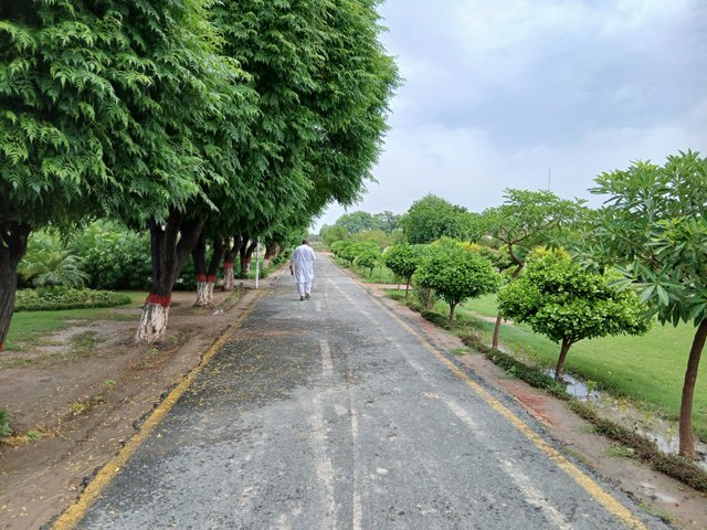 1000062894.jpg