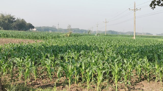 IMG_20250208_091052.jpg