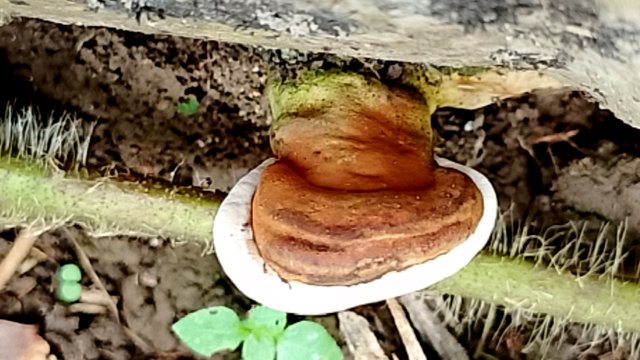 IMG_20250713_134357.jpg