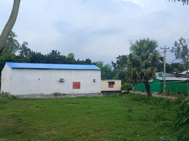 1000050269.jpg