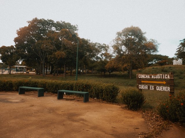 P1320785.jpg
