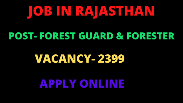 JOB IN RAJASTHAN.png