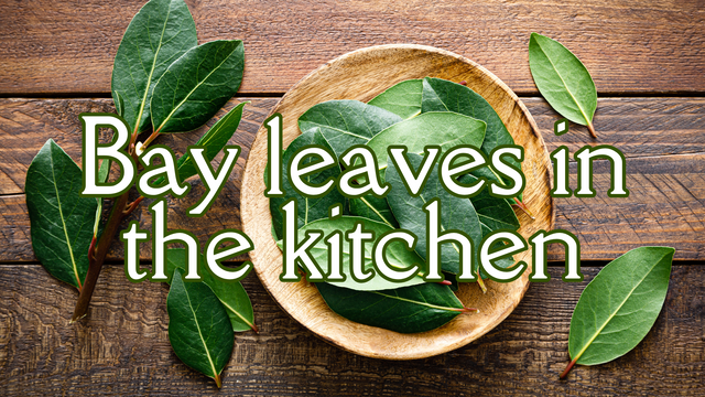 bay leaves in the kitchen.png