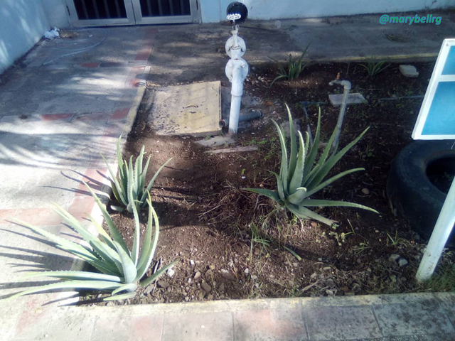 jardin1conmarca.png