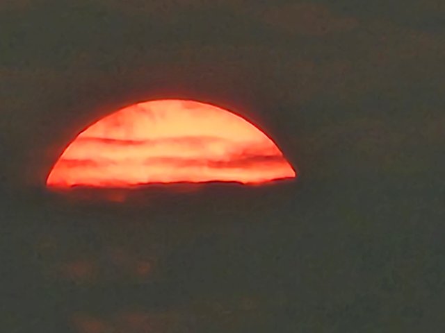 1000022420.jpg