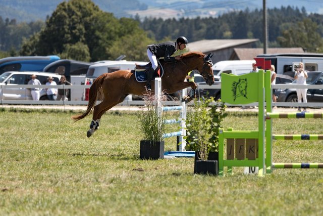 show-jumping-4871882_1280.jpg