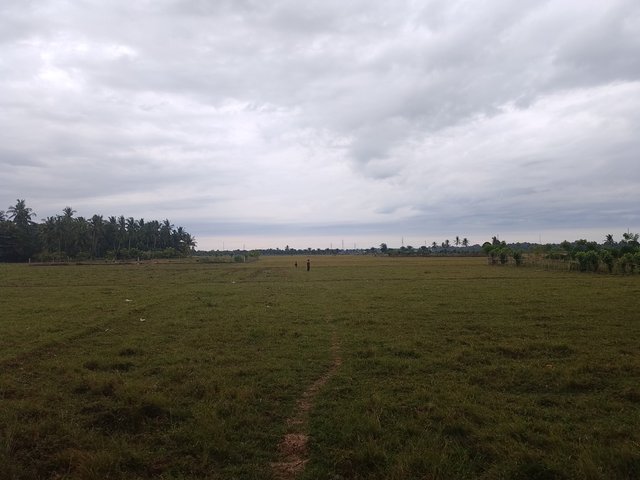 1000194131.jpg