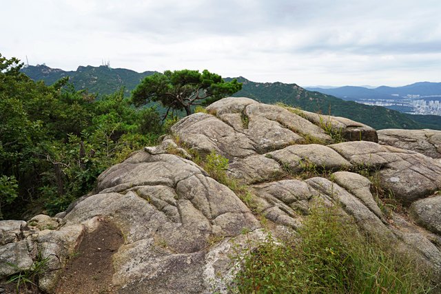b-DSC02118.JPG