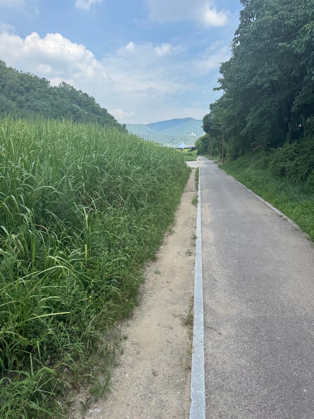 KakaoTalk_20250804_110730727.jpg