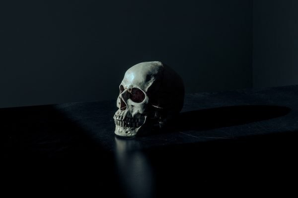 Creepy-Dark-Skull-Public-Domain-600x400.jpg