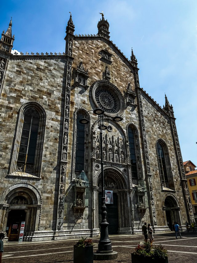 IMG_5674.jpg