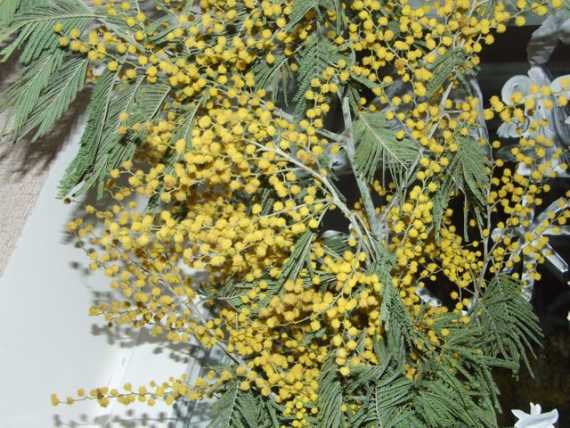DSCF7814.JPG