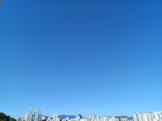1729691720448-5.jpg