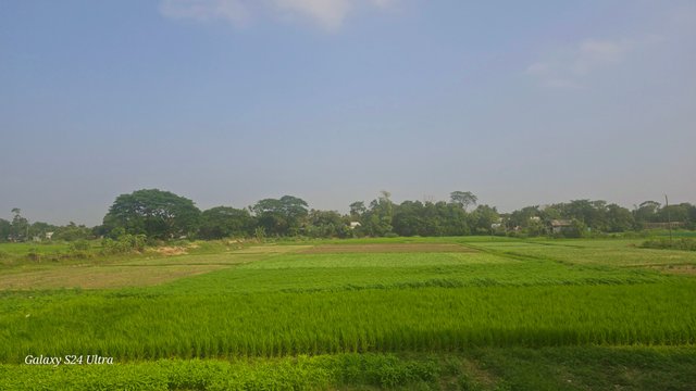 Notes_250429_221910_092.jpg