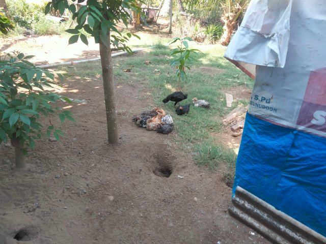 IMG20250623143612.jpg