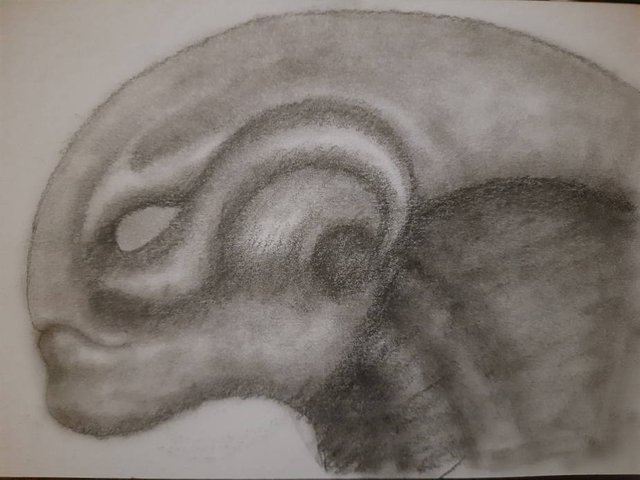 20250719_105513.jpg