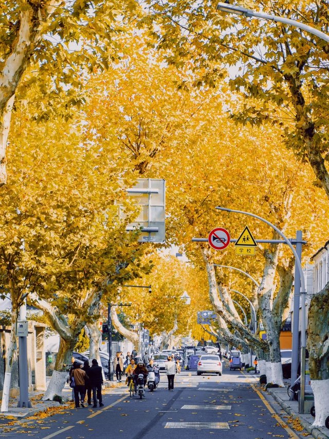 接下来几个月，苏州堪称秋天旅行天花板‼️_16_是陈同学📸_来自小红书网页版.jpg