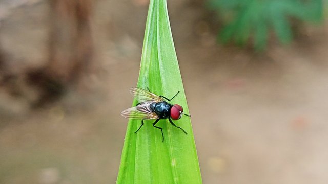 IMG_20250419_123111.jpg