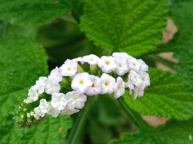 IMG_20250428_165108_808.jpg