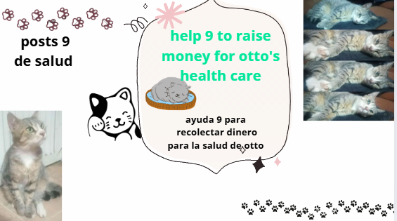 9 o.PNG