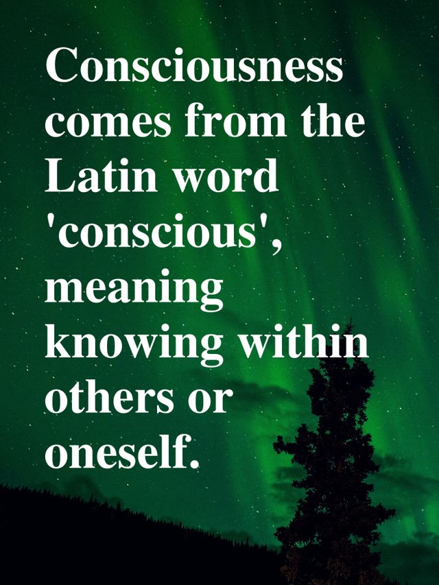 Consciousness comes from the Latin word 'conscious' meaning knowing with others or oneself._page-0001.jpg