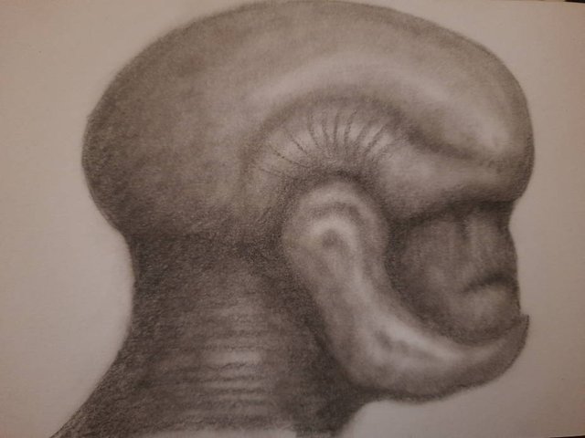 20250818_112339.jpg