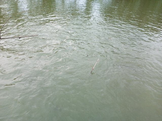 IMG_20250809_182830_446.jpg