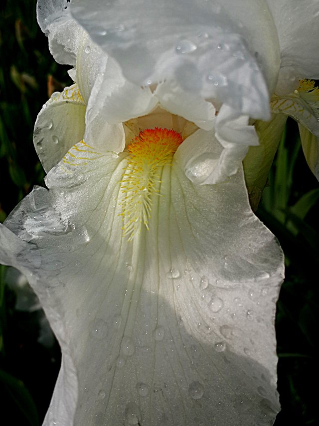 20190525_172702.jpg