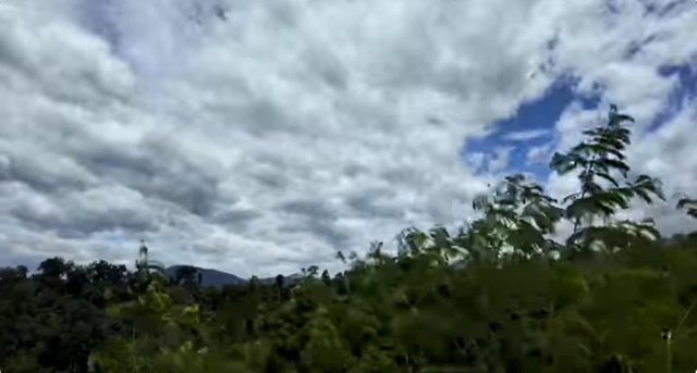 1755675021050.jpg