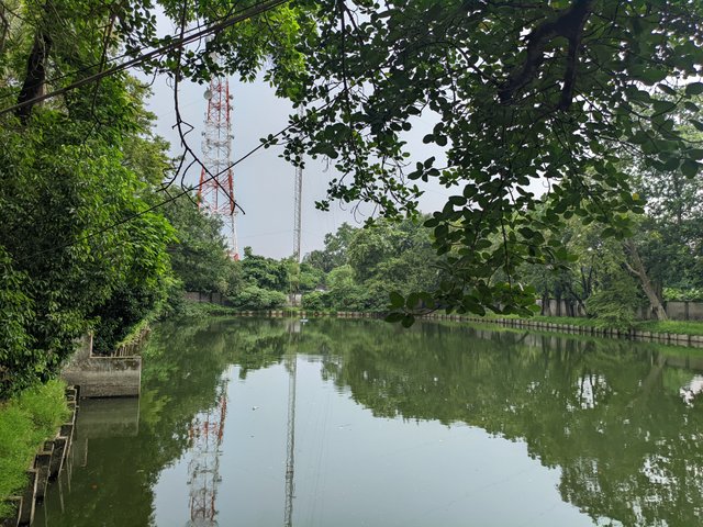 1000035747.jpg