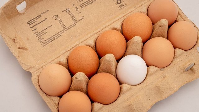 eggs-3446869__480.jpg